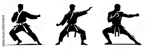 Karate silhouettes in action showcasing martial arts techniques and stances.