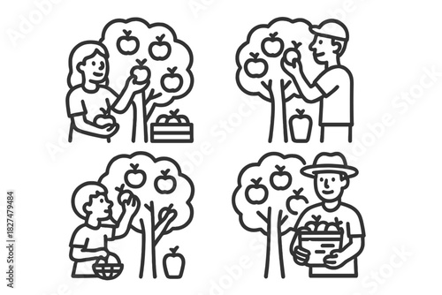 Simple line art icons showing people picking apples from fruit trees during the harvest season