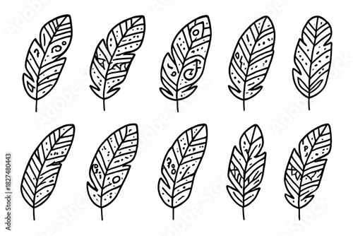 Abstract ornamental feathers set in hand drawn doodle style for decoration