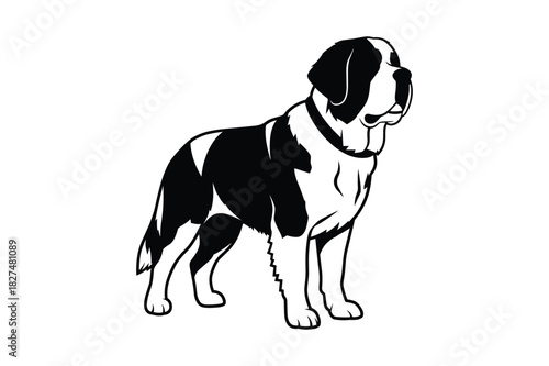 Black and white illustration of a majestic st bernard dog standing proudly
