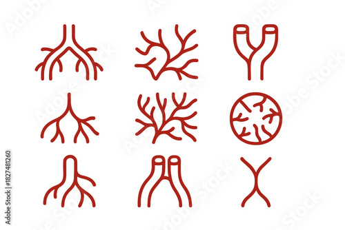 Minimalist red branching structures representing blood vessels, roots, or biological networks