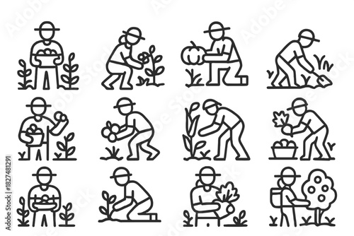 Farming activities such as planting, digging, and harvesting crops and vegetables