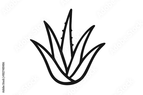 Simple black outline drawing of aloe vera plant leaves in a stylized hand-drawn aesthetic