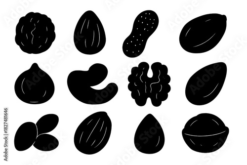 Black silhouettes of various nuts and seeds: walnut, almond, peanut, and cashew