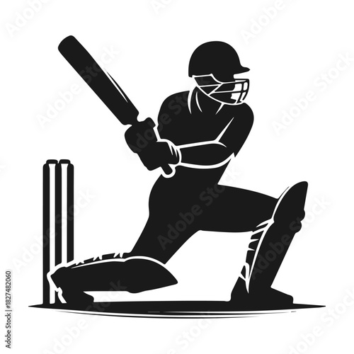 Cricket batsman silhouette in action playing a powerful stroke.