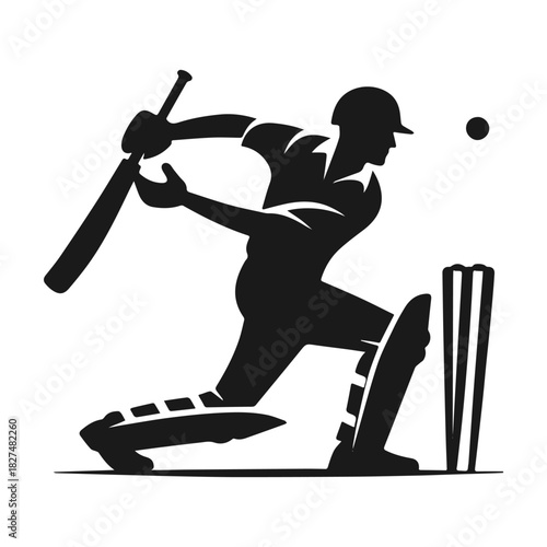Dynamic silhouette of a cricket batsman hitting the ball for a boundary.