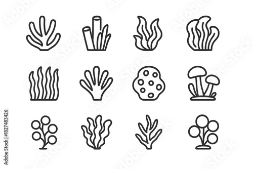 Detailed outline icons featuring various types of underwater marine plants and coral reef structures