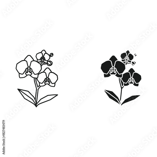 Two orchid flower illustrations one outline and one silhouette