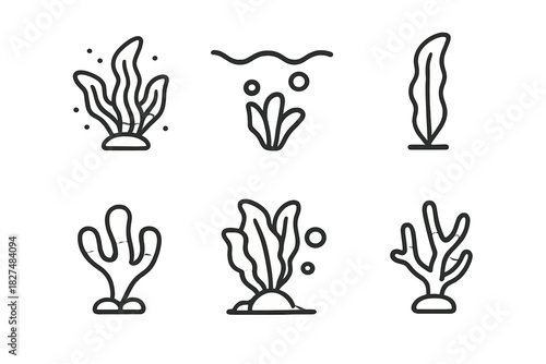 Collection of six outline icons showing different types of underwater plants, seaweed, and coral