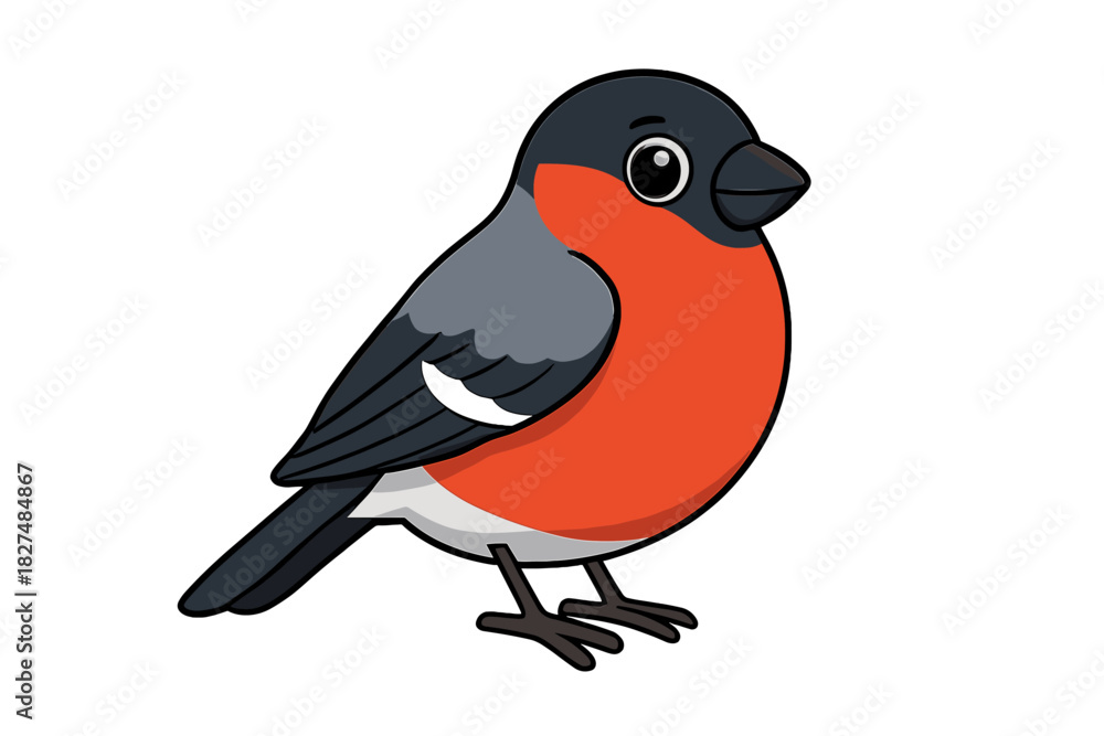 Obraz premium Cute cartoon bullfinch bird with bright red chest and black head isolated on white