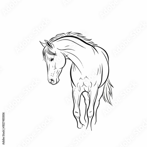 Elegant Horse Line Art Drawing with Graceful Pose.