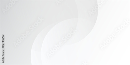 abstract white gradient color background with curve and swirl lines decoration.eps10