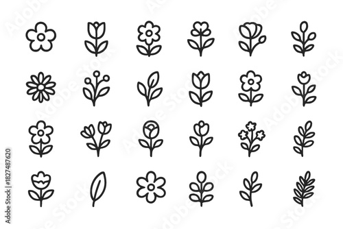 Minimalist line art symbols of spring flowers and botanical plant leaves