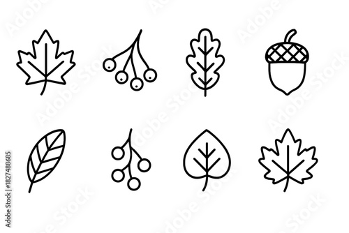 Minimalist black line icons set of autumn elements including maple leaves, acorns, and berries