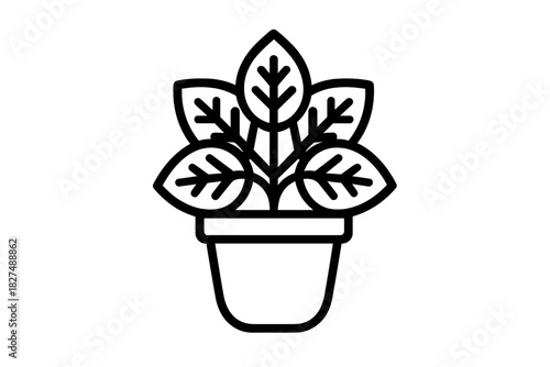 Minimalist black and white drawing of a small houseplant with large leaves in a simple pot