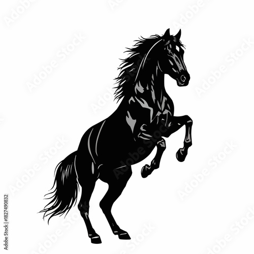 Powerful black stallion horse rearing up on its hind legs.