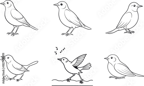 Different poses of songbirds blank line art set vector