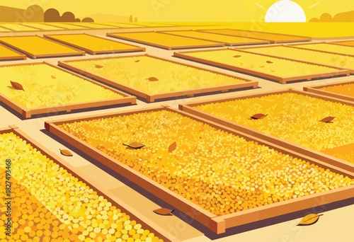 An illustration depicts neatly arranged fields of crops, bathed in warm, golden light with sun setting above