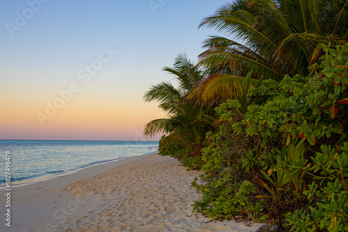 Fototapeta Naklejka Na Ścianę i Meble -  Sunrise at white sand beach with trees in Thoddoo island, Maldives