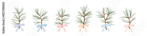 Pine tree branch with tied ribbon bow set vector illustration. Festive fir twigs with green needles isolated on white background. Winter holiday evergreen decoration.