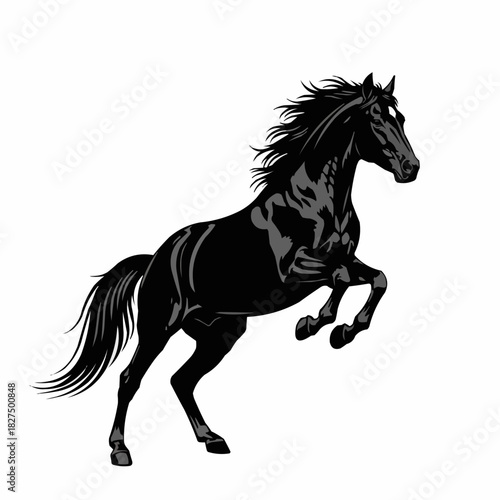 Majestic Black Horse Rearing Up, Powerful and Graceful Stallion.