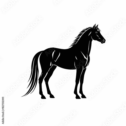 Elegant Black Horse Silhouette Standing Proudly.