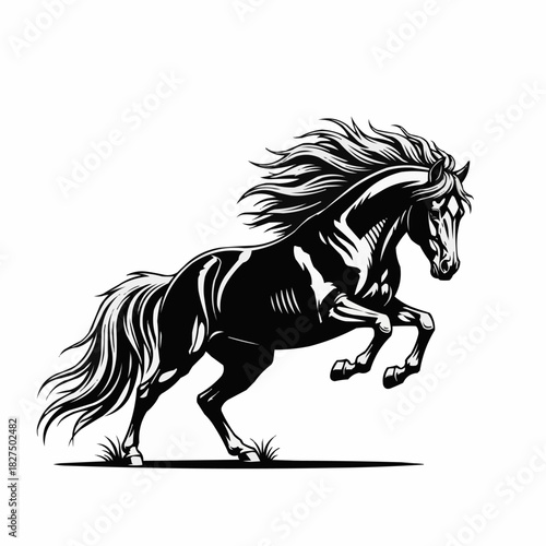 Powerful Black Horse Rearing Up in Dynamic Pose.