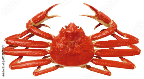 ズワイガニ