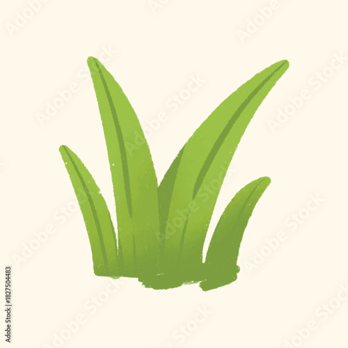Illustration watercolor of an grass