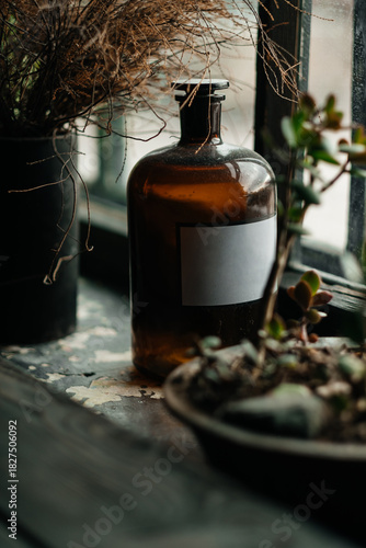 Beautiful dried flowers. Aesthetics in the interior. Floristry.