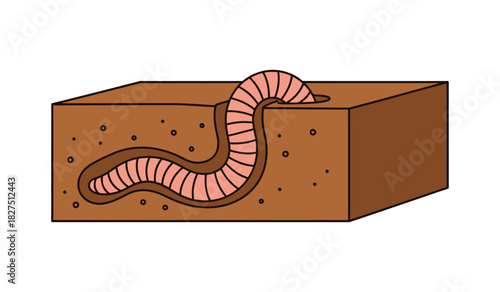 Illustration of an earthworm in soil, showing its burrowing activity.