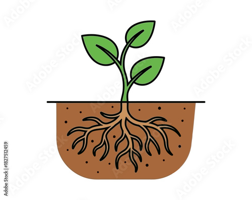 A simple vector illustration of a young green plant seedling with a visible root system growing in a cross-section of soil.