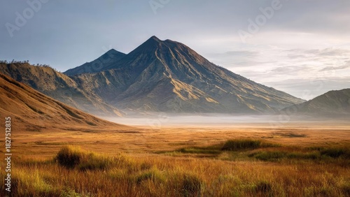 Golden grasses in a wide valley with a dramatic mountain range in the distance, lit by soft morning light and a thin mist hovering above the ground. Concept Golden grasses in a valley