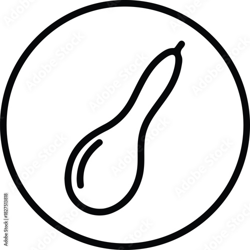 Illustrator Bottle gourd icon in a circle vector silhouette