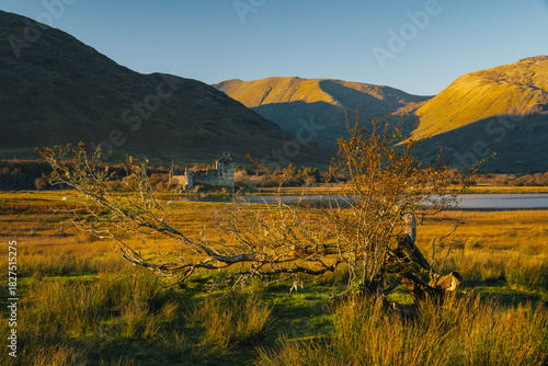 Schafweide im schottischen Hochland mit dem Kilchurn Castle im Hintergrund, Highlands Scotland