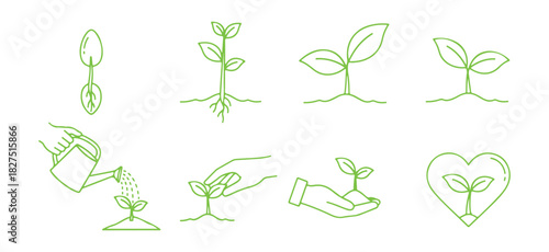 Set of sprout icons. A collection of growing plants from seeds. Cultivation and care for sprouts and seedlings. Thin line design. Gardening, vector linear illustration.
