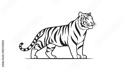 Striking tiger vector illustration black and white line art perfect for wildlife designs and conservation projects