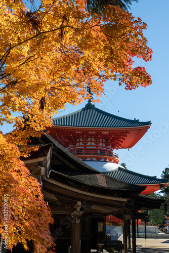 高野山　壇上伽藍　根本大塔