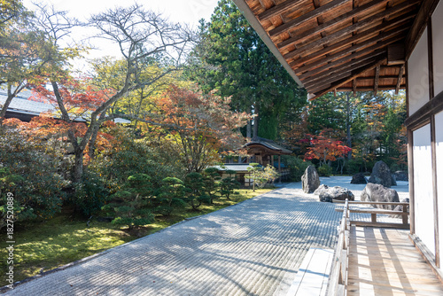 高野山　金剛峯寺　蟠龍庭