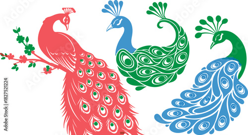 Colorful peacocks in red blue and green displaying vibrant plumage on black background