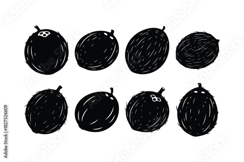 Coconut Solid Silhouette Vector Set
