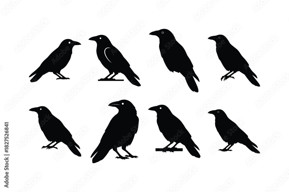 Obraz premium Crow Solid Silhouette Vector Set