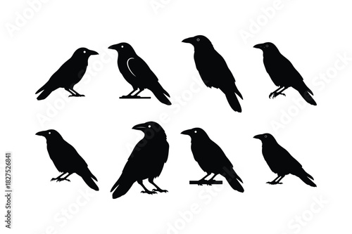 Crow Solid Silhouette Vector Set