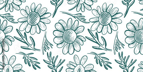 Seamless vector pattern with chamomile flowers and leaves. Hand-drawn line art in a morphing turquoise color scheme. Botanical sketch of chamomile flowers for backgrounds, packaging, and prints.