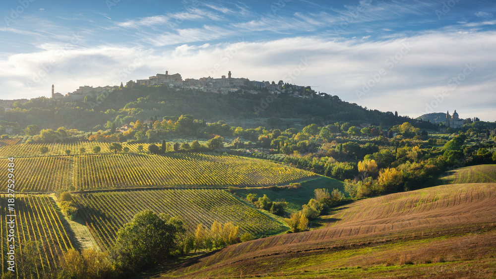 Fototapeta premium Montepulciano and San Biagio Church Over Vineyards, Tuscany, Italy
