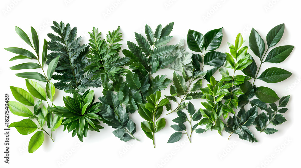 Obraz premium Assortment of Fresh Greenery