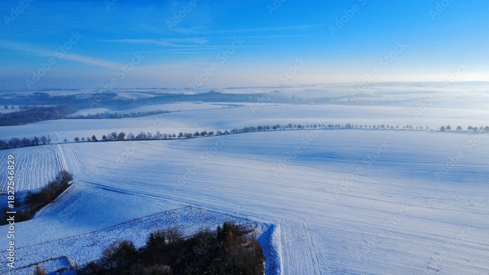 Obraz premium A peaceful winter landscape featuring a wide, open field blanketed in fresh snow, with snow-covered trees standing along the horizon. Soft natural light enhances the serene atmosphere, 
