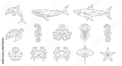 Geometric line art illustrations of various marine animals and sea creatures.