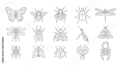 Collection of detailed insect illustrations, showcasing various bug species in line art.