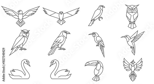 Geometric line drawings of various birds, including owls, swans, eagles, toucans, hummingbirds, and other avian species, arranged on a white background.